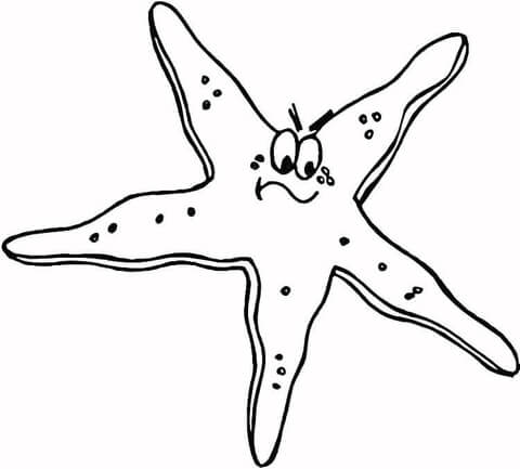 Starfish  Coloring Page